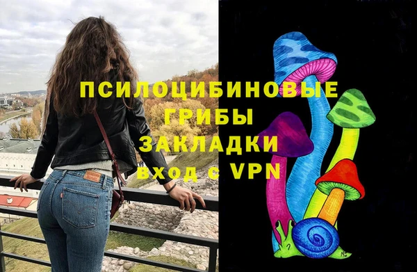 гидропоника Новозыбков