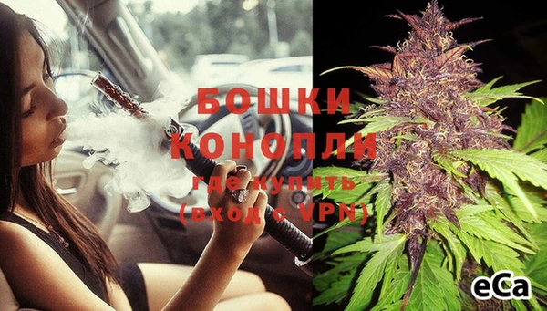 ПСИЛОЦИБИНОВЫЕ ГРИБЫ Нея