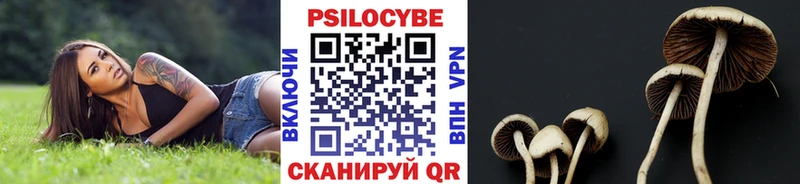 Псилоцибиновые грибы Cubensis MEGA вход Скопин